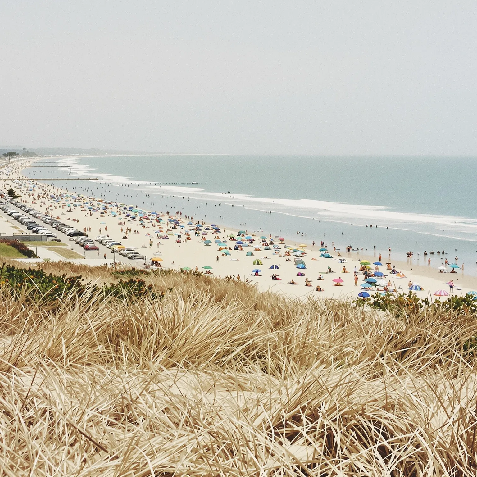 A crowded Mornington Peninsula bay beach on a hot January afternoon, cars parked the length of the foreshore